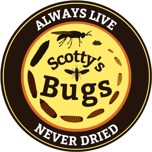 Scotty's Bugs