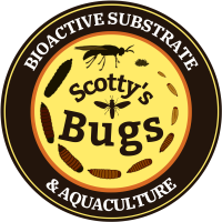 1500x1500 scottys bugs copy