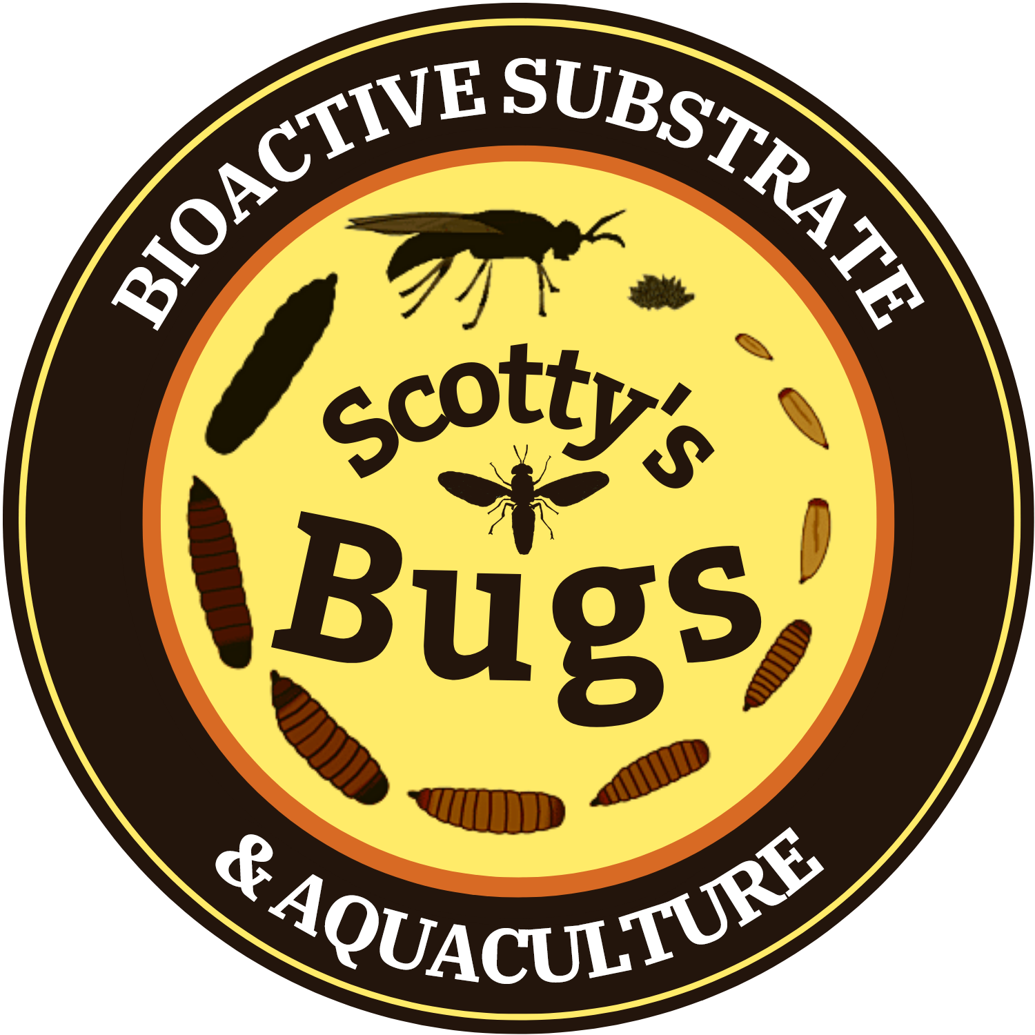 Scotty’s In A Box Explained (simply)