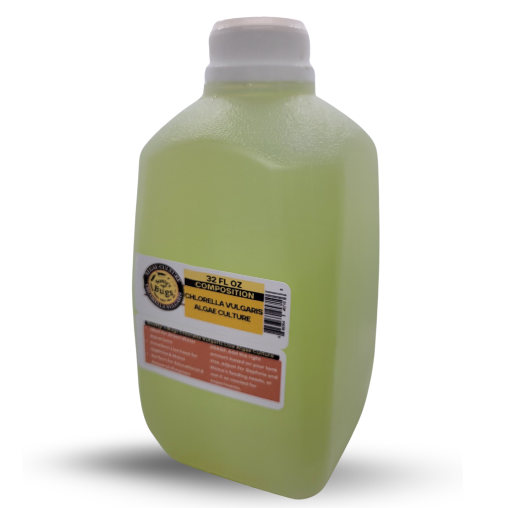 live chlorella vulgaris algae culture – green water starter for daphnia, moina & aquariums live chlorella vulgaris algae culture – green water starter for daphnia, moina & aquariums