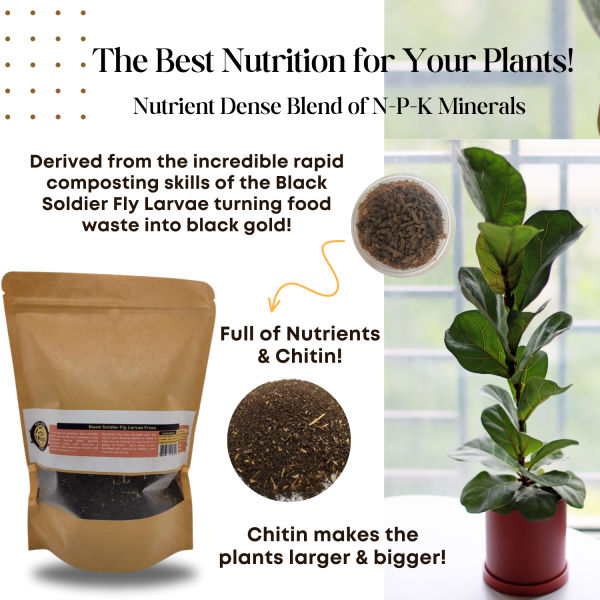 bsfl insect frass organic fertilizer – all natural soil booster for gardens & plants
