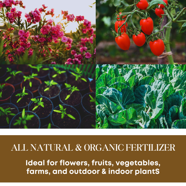 bsfl insect frass organic fertilizer – all natural soil booster for gardens & plants