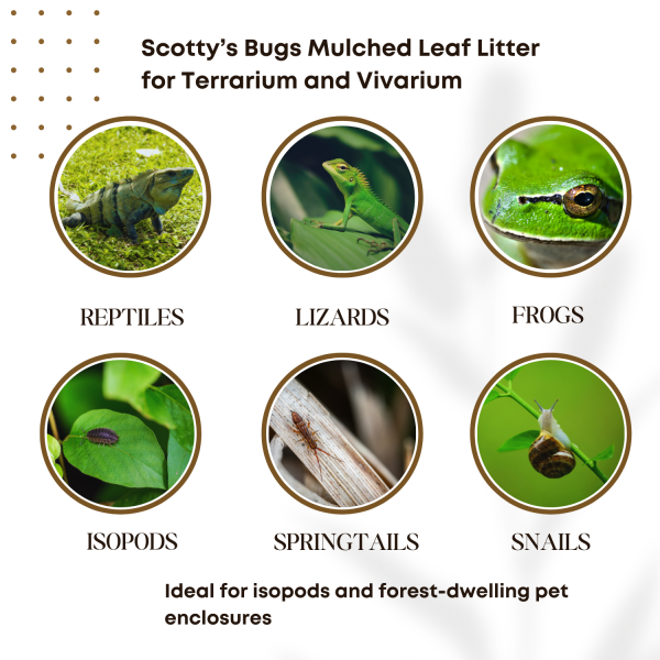 natural leaf tannin extract – blackwater aquarium conditioner for betta, tetra & freshwater fish